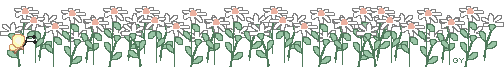 daisies
